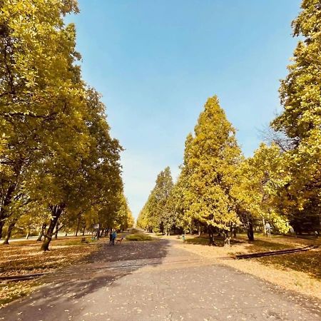 Apartamenty Ktw Debowe Tarasy 卡托维兹 外观 照片